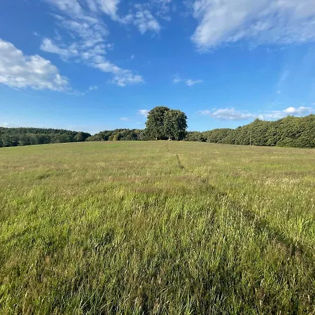 Nelly * 萨斯尼茨