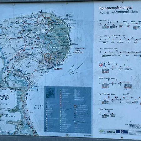 Nelly * 萨斯尼茨